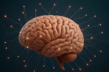 You’ll Never Look at Neuroanatomy the Same After This Student’s Tip Went Viral