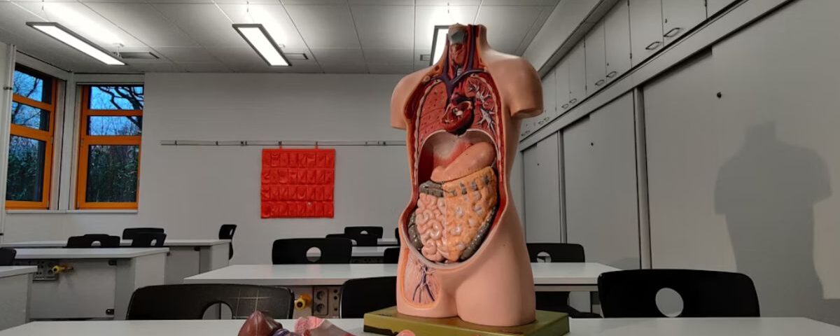 SGA Is Bringing New Life to Physiology—Here’s How