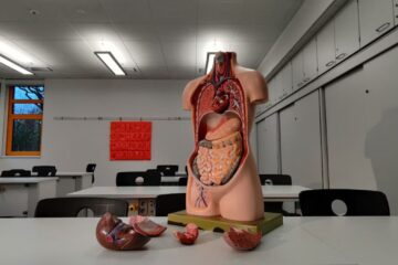 SGA Is Bringing New Life to Physiology—Here’s How