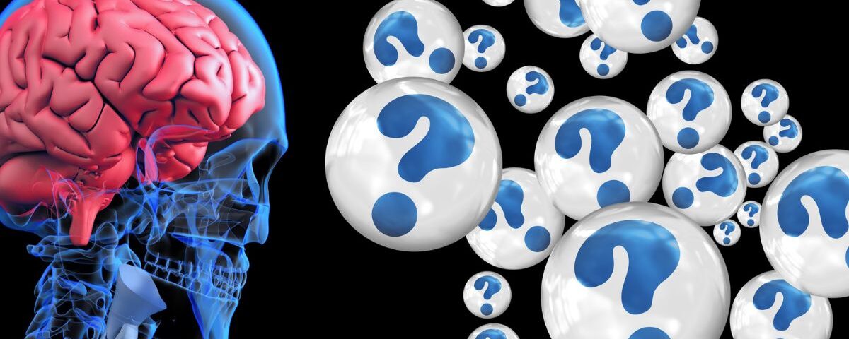Mind Maps & Misfires: Neuroanatomy Explained Without the Headache