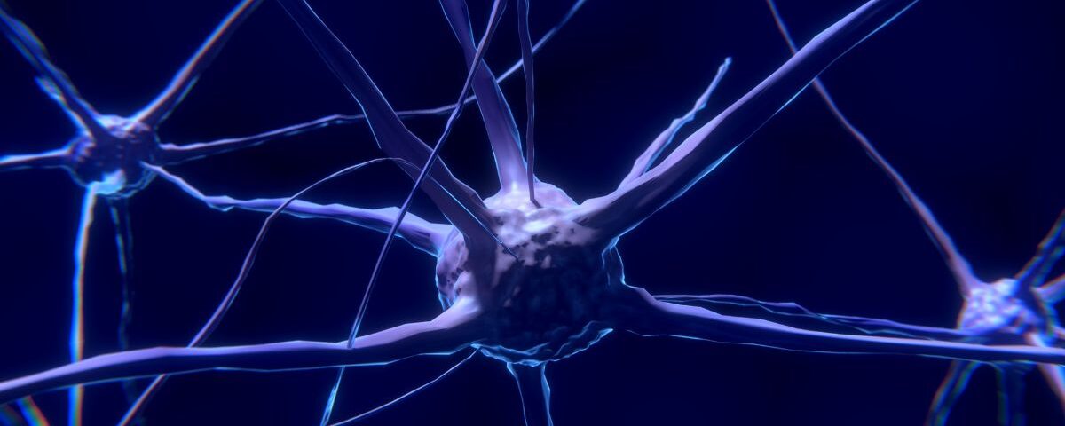 How Neurophysiology Shapes Clinical Decision-Making at TouroCOM