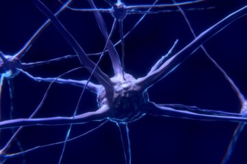 How Neurophysiology Shapes Clinical Decision-Making at TouroCOM