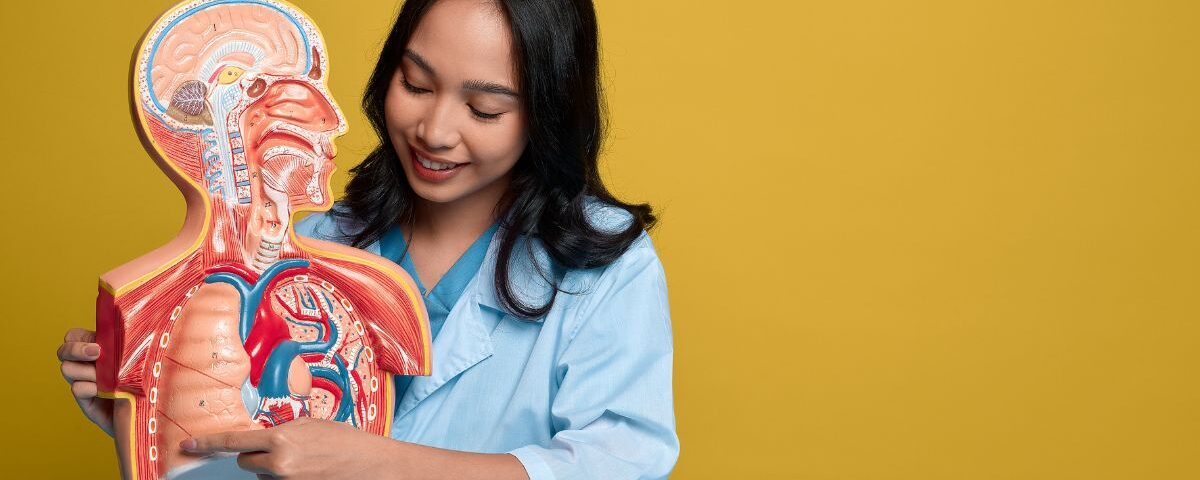 Struggling With Anatomy & Embryology? These Study Hacks Changed Everything!